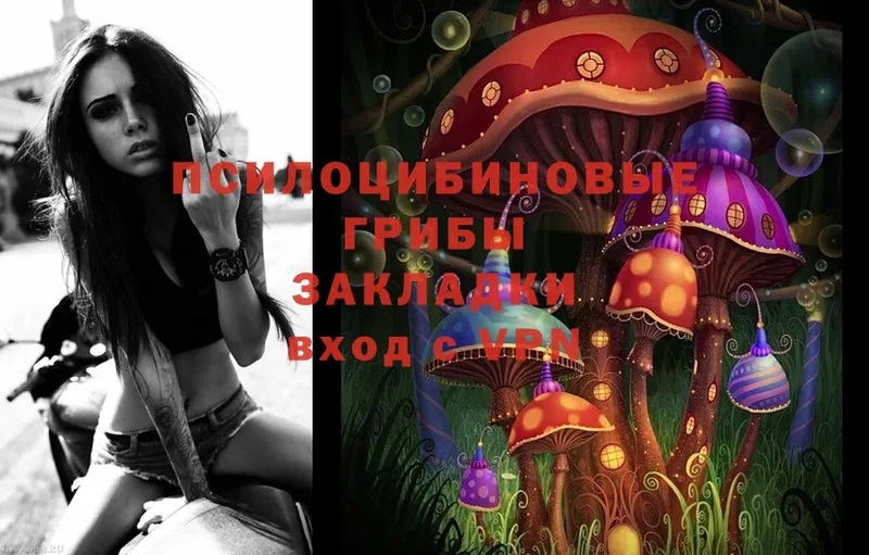 Галлюциногенные грибы Cubensis  kraken зеркало  Киселёвск  цены наркотик 